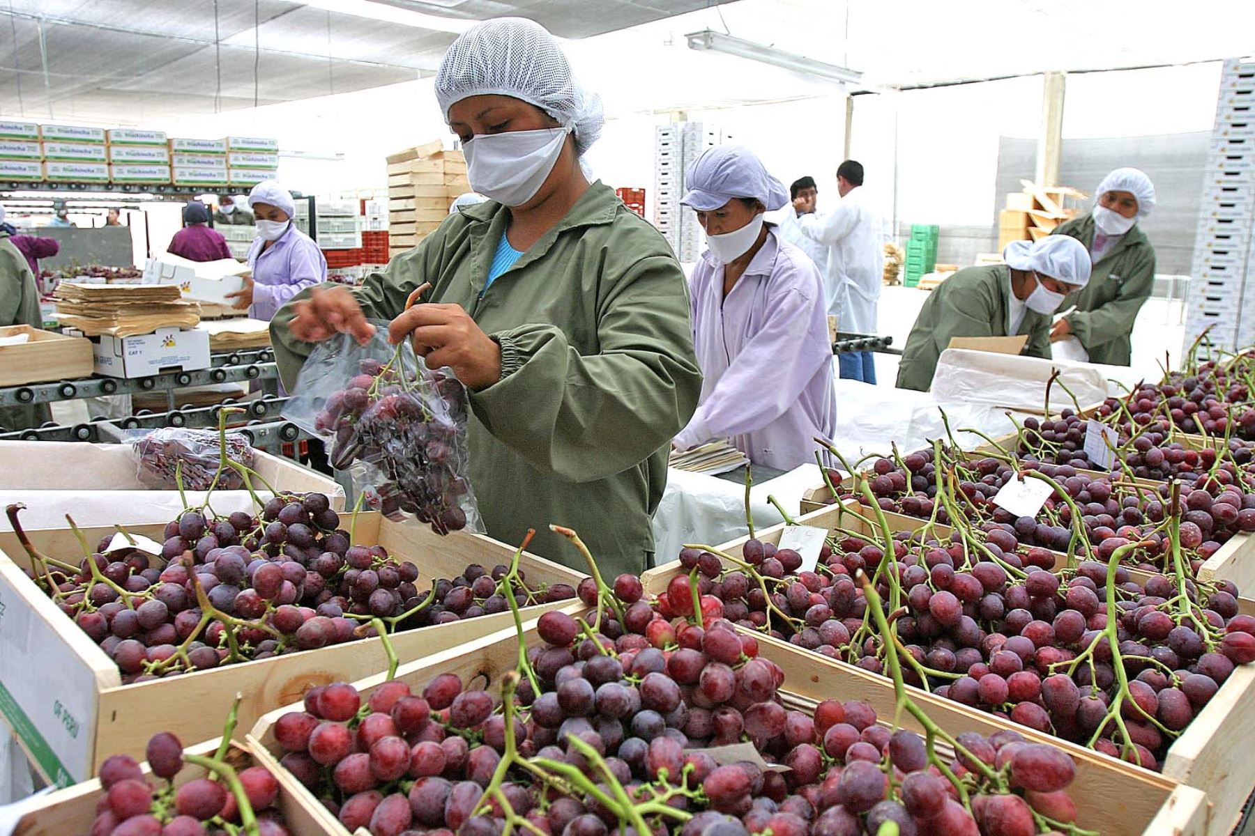 exportaciones