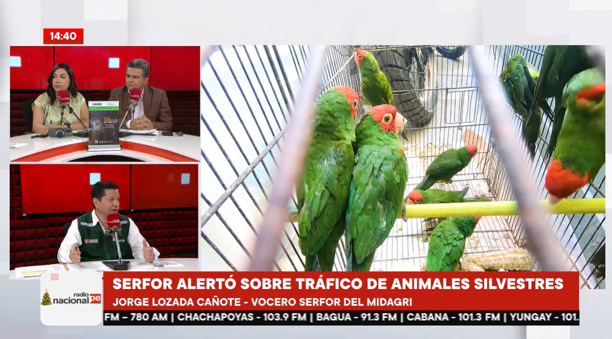 El informativo segunda edición