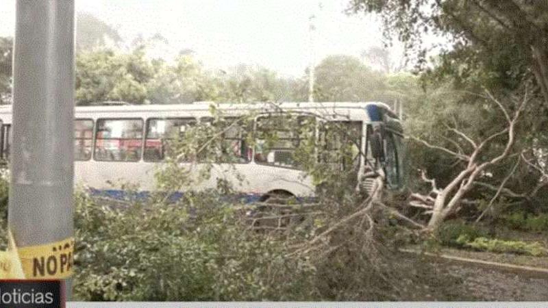Accidentes de tránsito