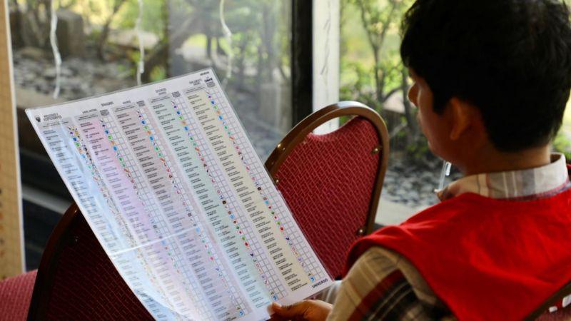 CEDULA DE VOTACIÓN 2026