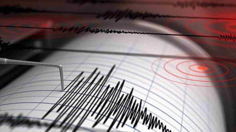 Tacna sismo terremoto 