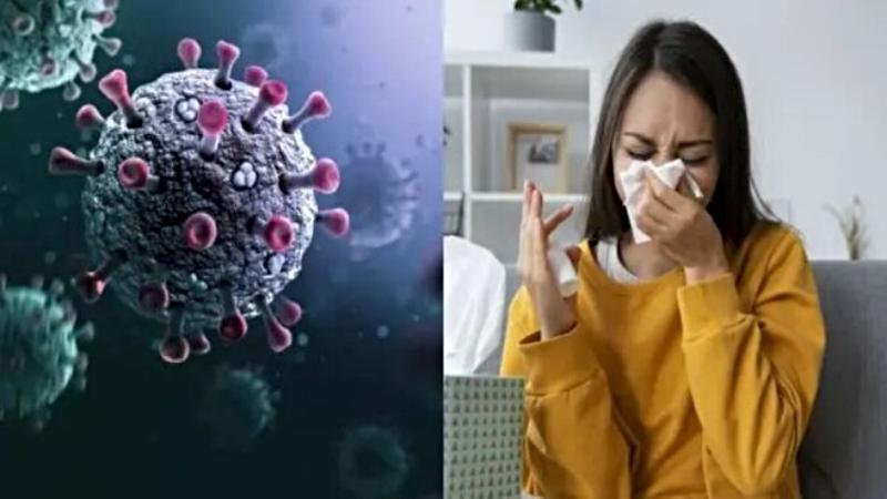 INS influenza A (H3N2) gripe