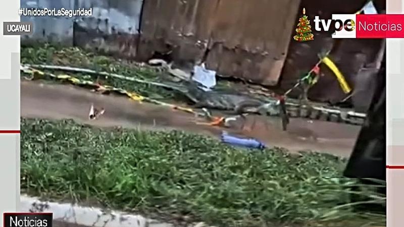 ucayali lagarto ríos lluvias 