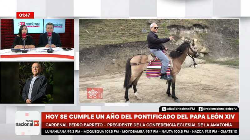 Papa León XIV  Cardenal Pedro Barreto