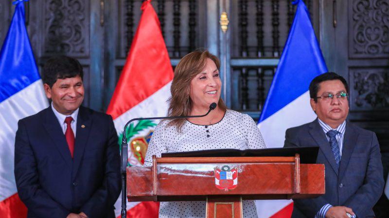 Presidenta Dina Boluarte