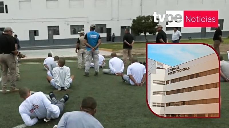 Tribunal Constitucional  jóvenes TC PNP 