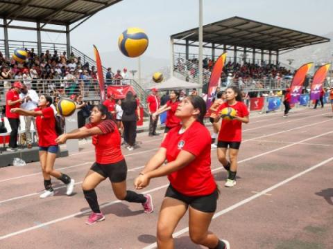 IPD academia Verano 2026