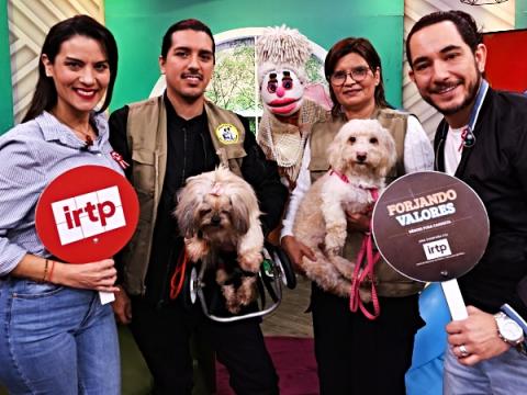 irtp cultura albergue de perros