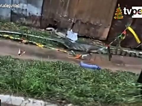 ucayali lagarto ríos lluvias 