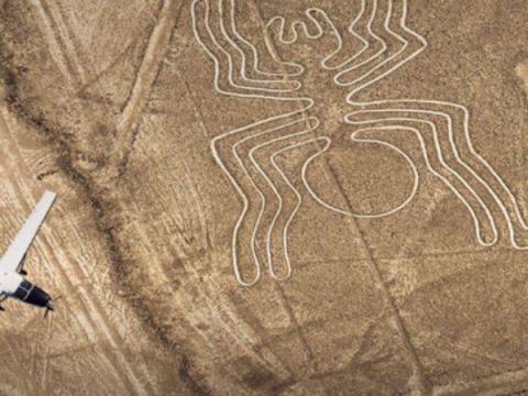 lineas de nasca