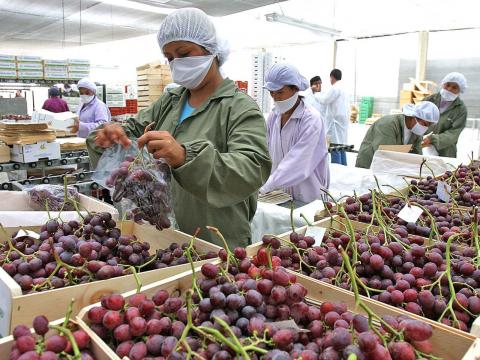 exportaciones