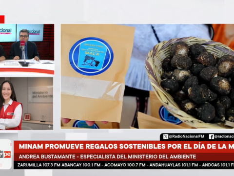 Minam Día de la Madre