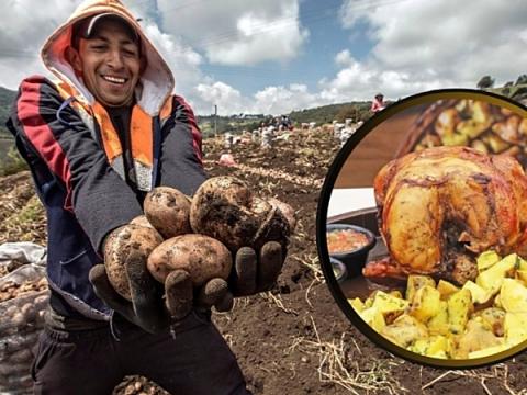 Midagri día del pollo a la brasa avícola agricultura