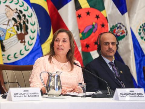 Dina Boluarte
