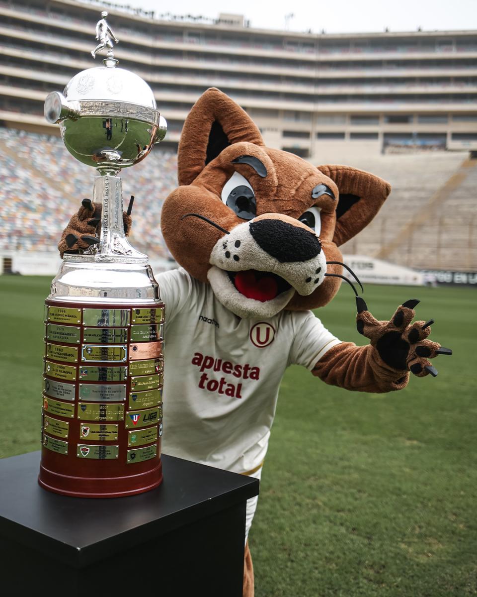 libertadores puma universitario