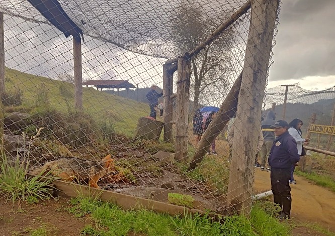 serfor zorro run run